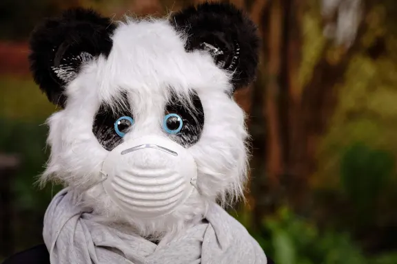 نوكس وين كازينو الدعم